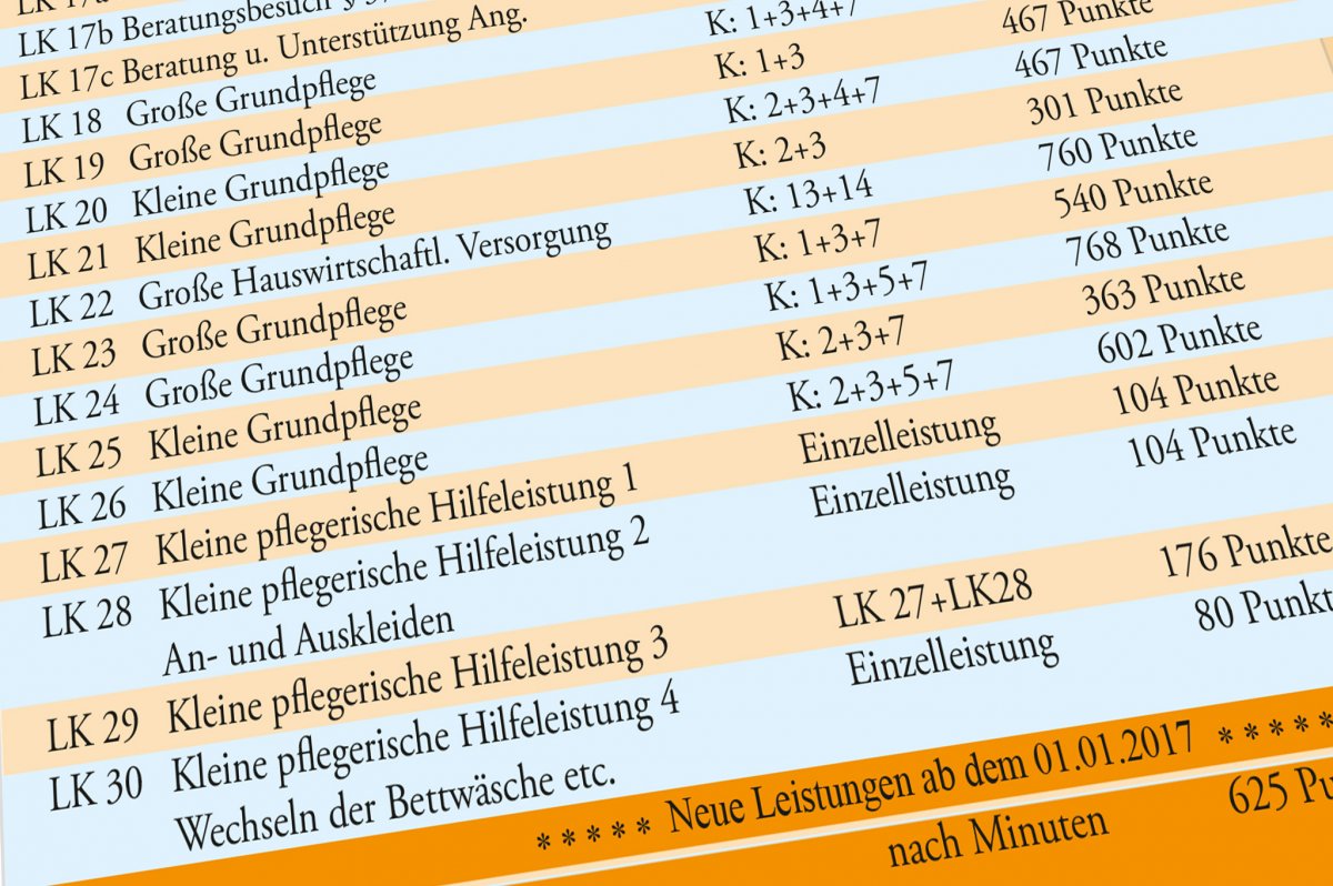 Leistungskomplexe Ambulante Pflege Sachsen 2024 pflege plus® - Leistungskomplexe unterleilen die Pflegeleistungen im